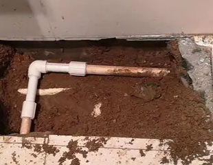 马龙测漏水哪家好