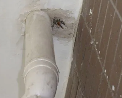 马龙漏水检测哪家好